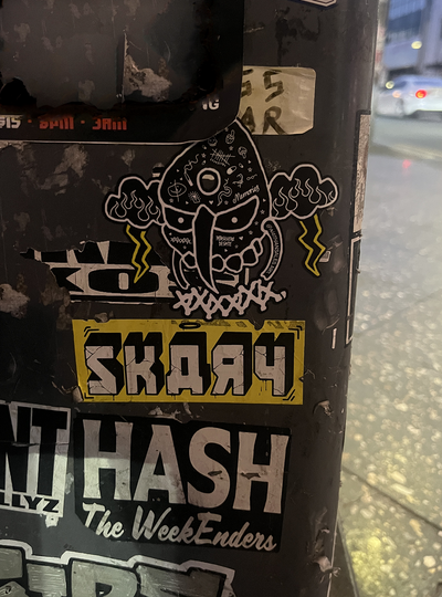 🌩️Storm Skull Decal